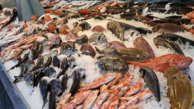 El precio del pescado subió hasta un 118% en Semana Santa