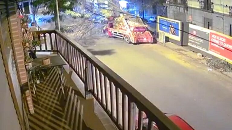 Insólito accidente en Mar del Plata: un árbol seco cayó sobre un camión