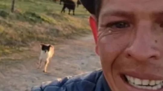 Un peón se puso a llorar al ser despedido y el video se viralizó: «Lloro por mi perro»