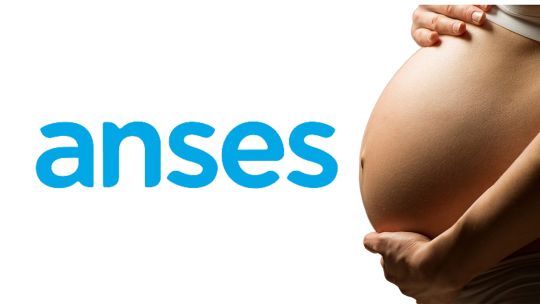 ANSES: Cuándo se cobra la Asignación por Embarazo en julio 2025