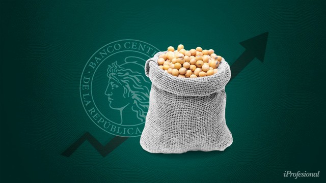 Efecto dólar: se dispara el precio de la soja para productores locales y Caputo espera otra ayuda del campo