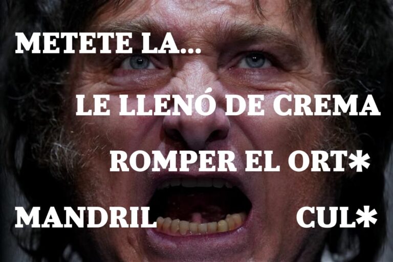 El insulto de Estado. Metáforas sexuales y cada vez más agresiones: a dónde apunta la escalada del discurso de Milei?