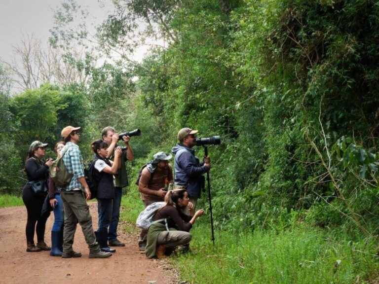 Misiones se consolida como destino para observación de aves y
lanza su primer encuentro internacional