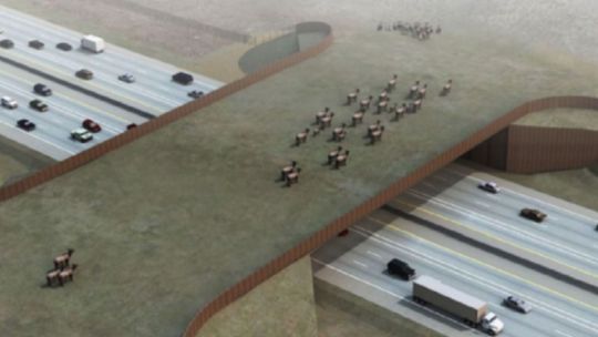 Así será el puente más grande del mundo para proteger animales y conductores