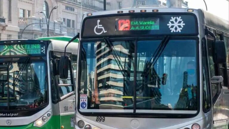 Crean una nueva línea de colectivos en el AMBA: cuál será el recorrido