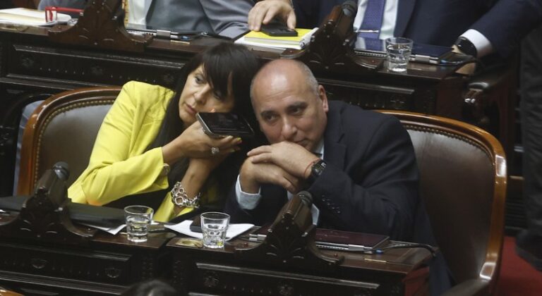 Tras la ruptura con el PRO en Río Negro, Karina impuso a Villaverde como primerasenadora