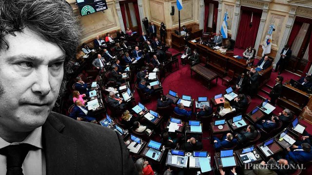 El Senado rechazaría el veto a Discapacidad y buscaría reformar la ley que trata los DNU
