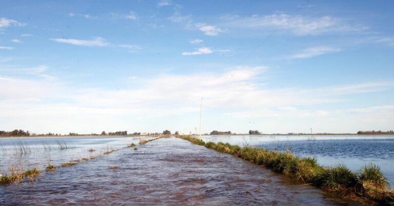 «Una tragedia anunciada»: advierten que la superficie afectada por las inundaciones supera las 3 millones de hectáreas