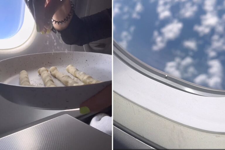 Preparó su propia cena en pleno vuelo, causó polémica y se volvió viral